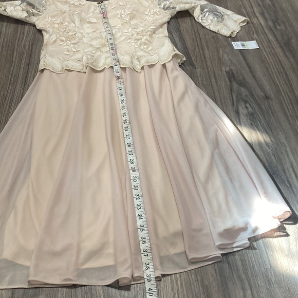 Alex Evenings Illusion Sleeve Embroidered Midi Dress in Taupe Size 4 - Picture 6 of 9